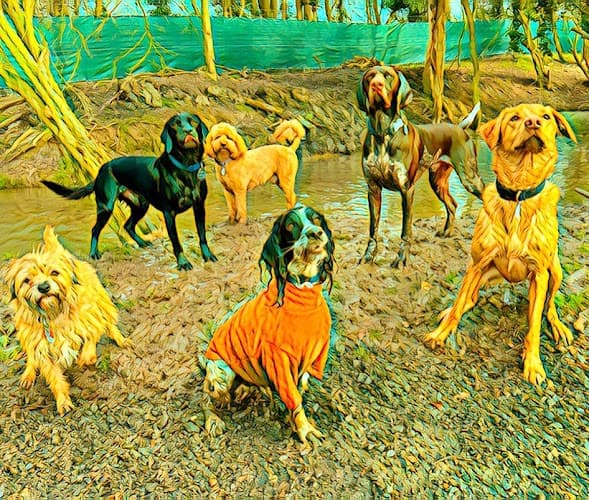 Business listing image