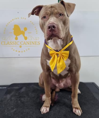 Business listing image