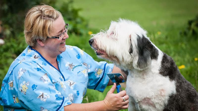 Business listing image