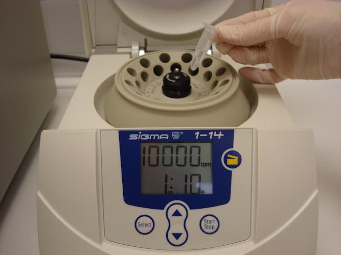 Business listing image