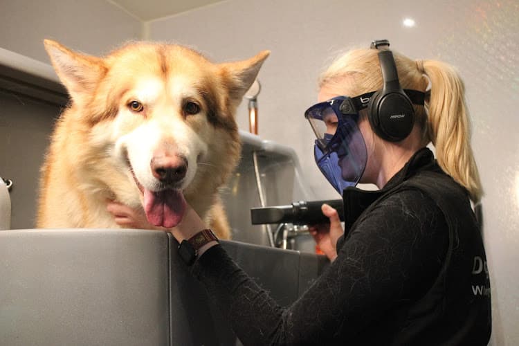 Business listing image