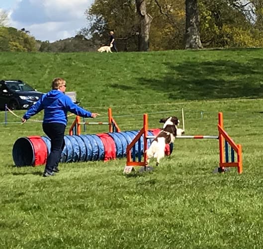 Business listing image