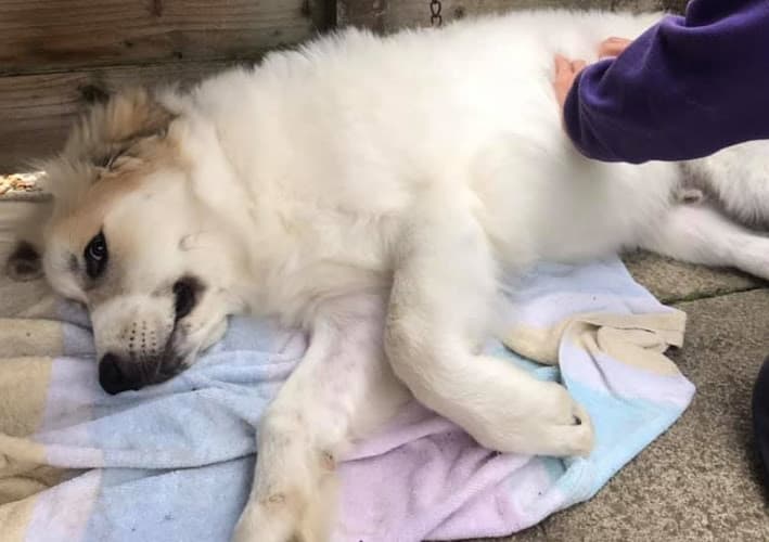 Business listing image