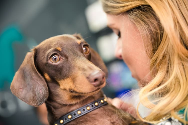 Business listing image