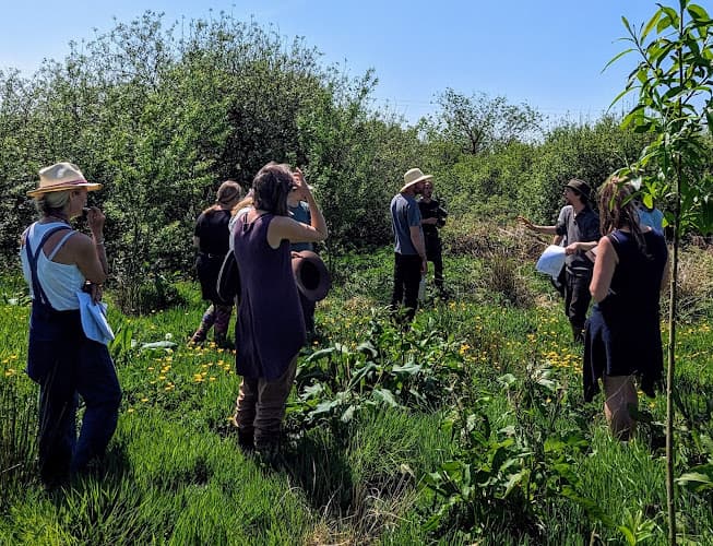 Business listing image