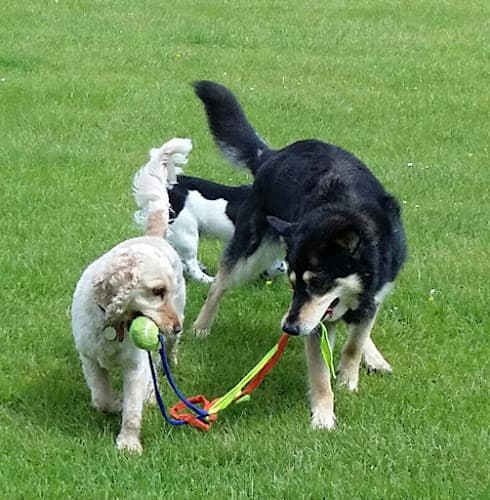 Business listing image