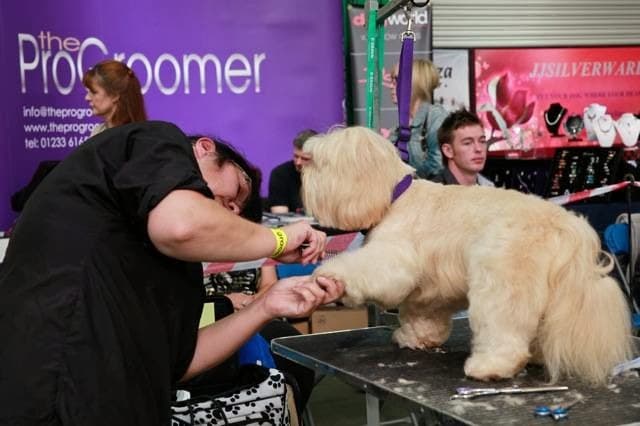 Business listing image