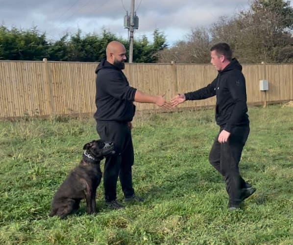 Business listing image