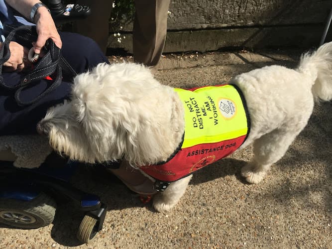 Business listing image