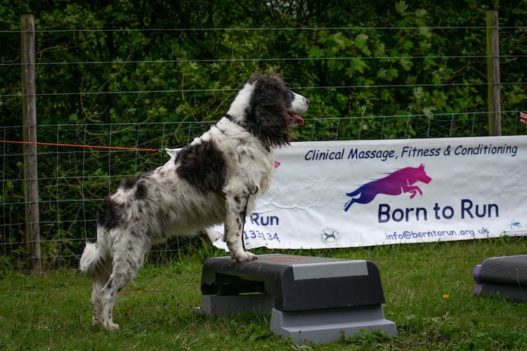 Business listing image