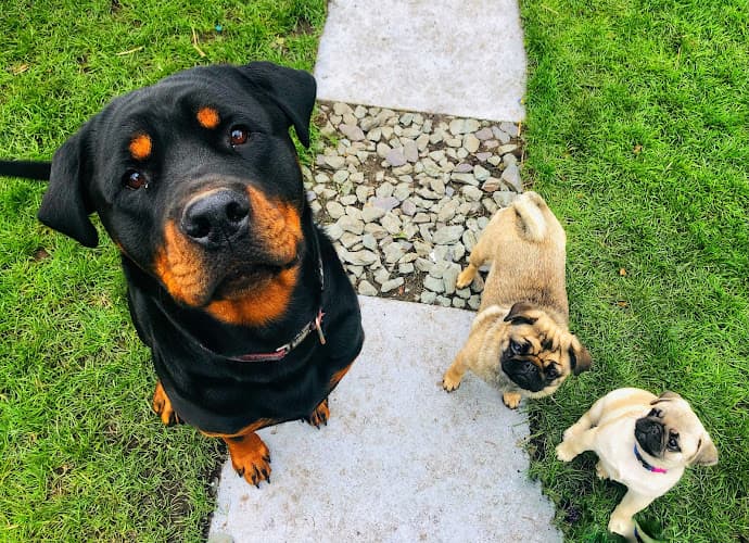 Business listing image