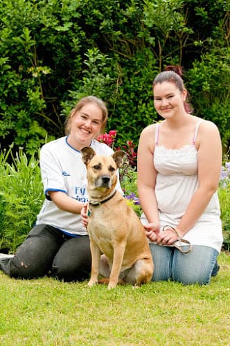 Business listing image