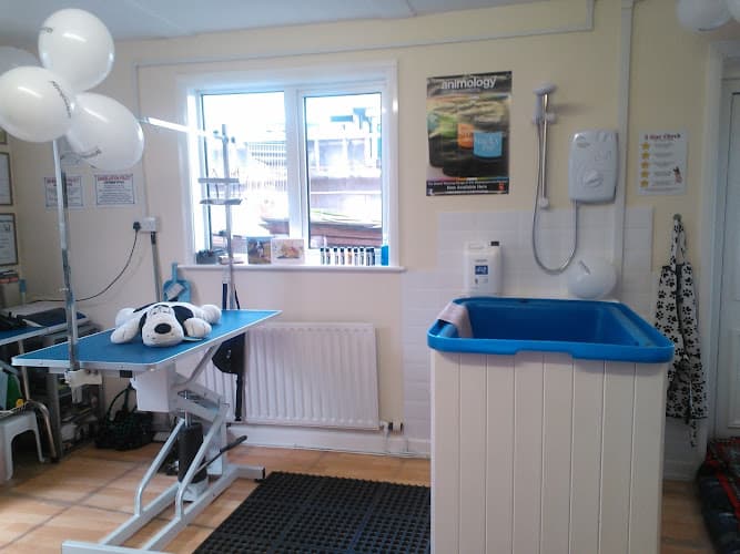 Business listing image