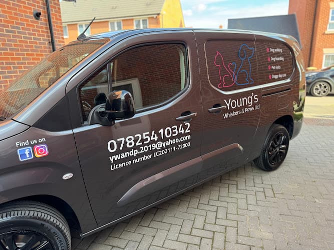 Business listing image