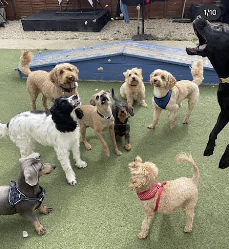 Business listing image