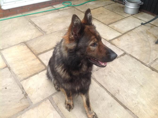 Business listing image