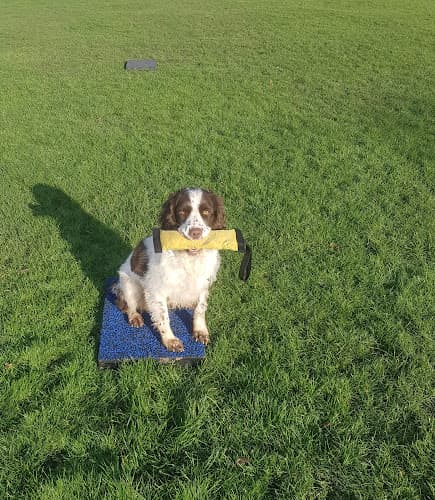 Business listing image