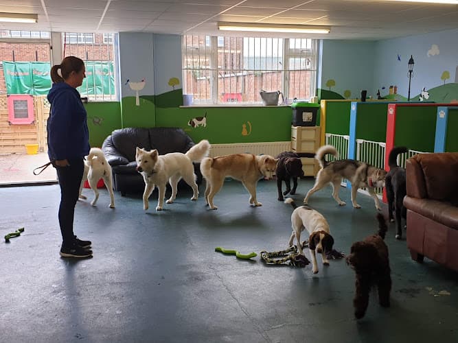 Business listing image