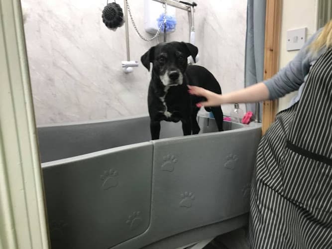 Business listing image