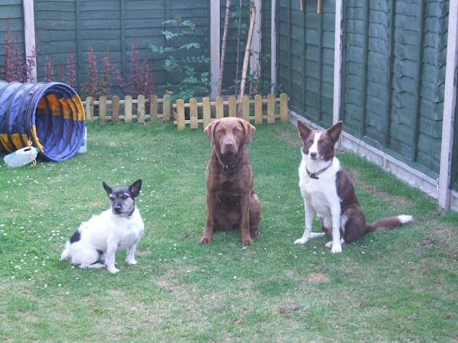 Business listing image