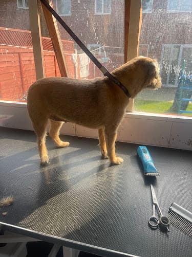 Business listing image