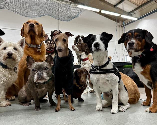 Business listing image