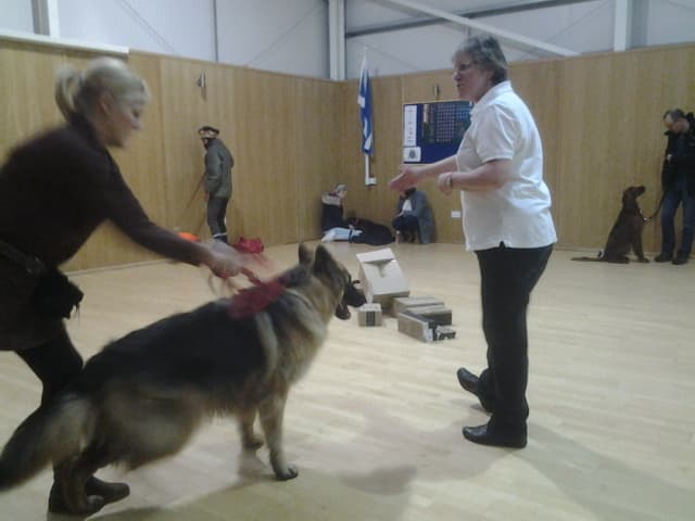 Business listing image