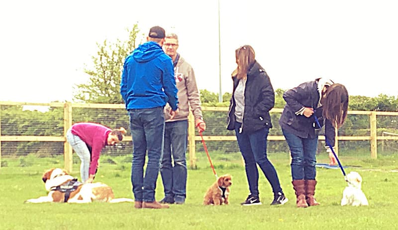 Business listing image