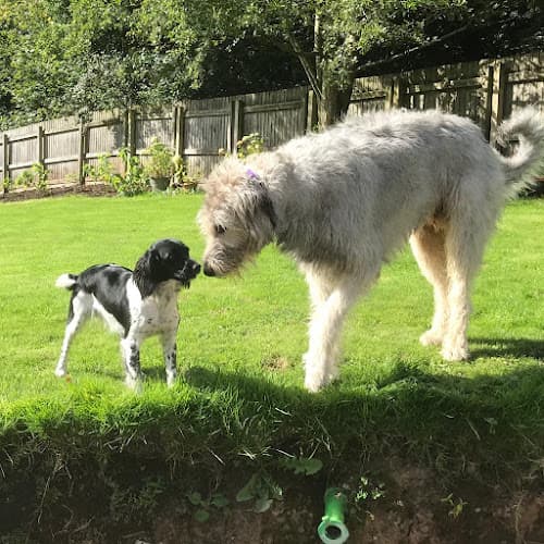 Business listing image