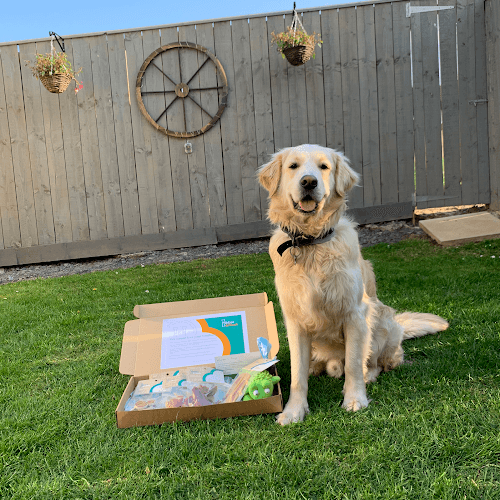 Business listing image