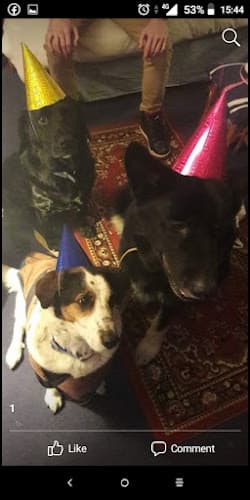 Business listing image