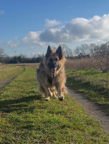 Business listing image