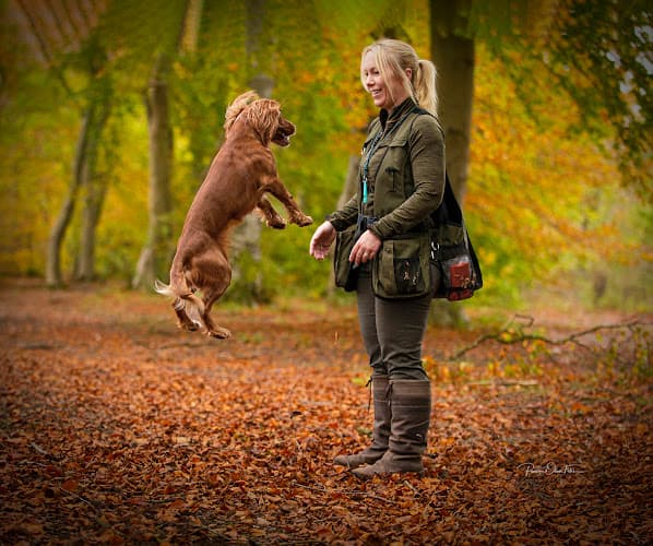 Business listing image