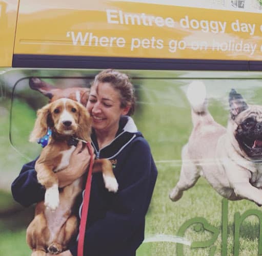 Business listing image