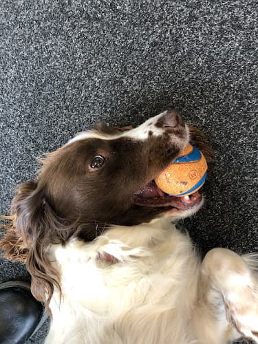 Business listing image