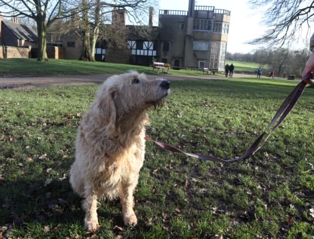 Business listing image