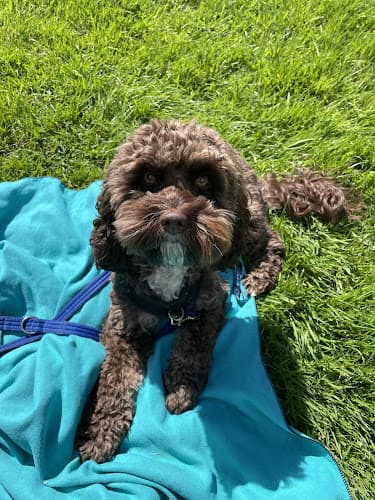 Business listing image