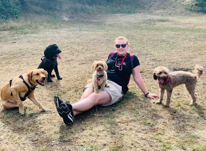 Business listing image