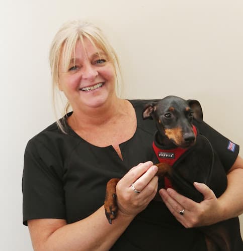 Business listing image