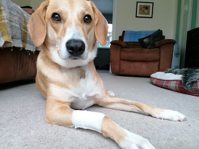 Business listing image