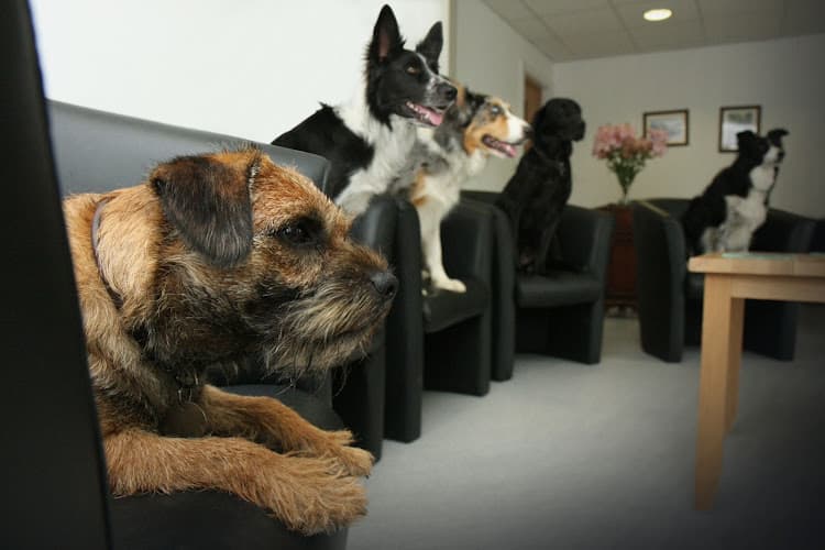 Business listing image