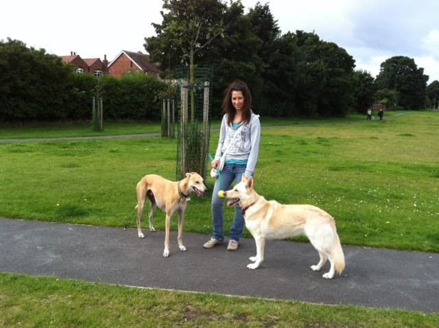 Business listing image