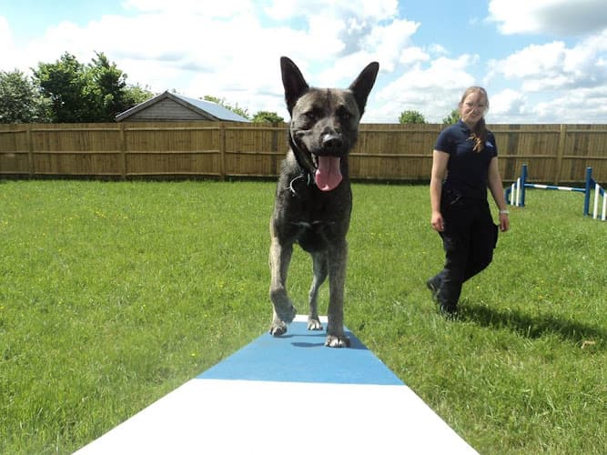 Business listing image