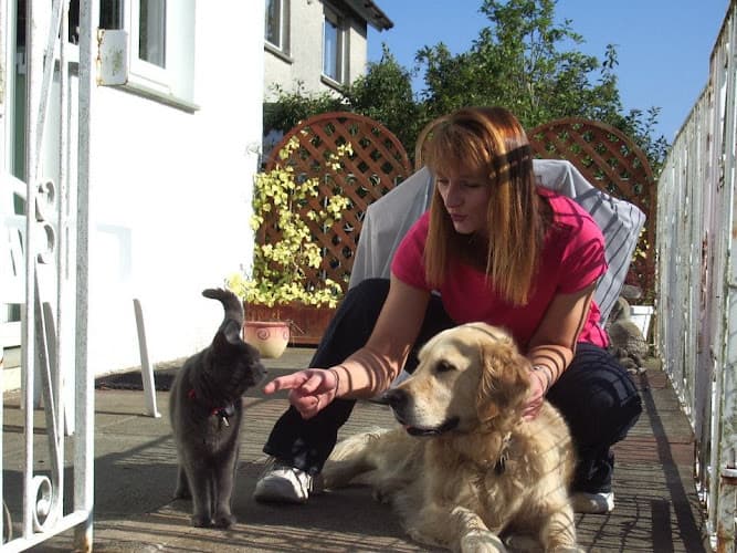 Business listing image