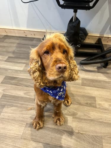 Business listing image