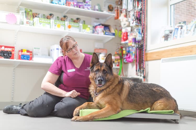 Business listing image