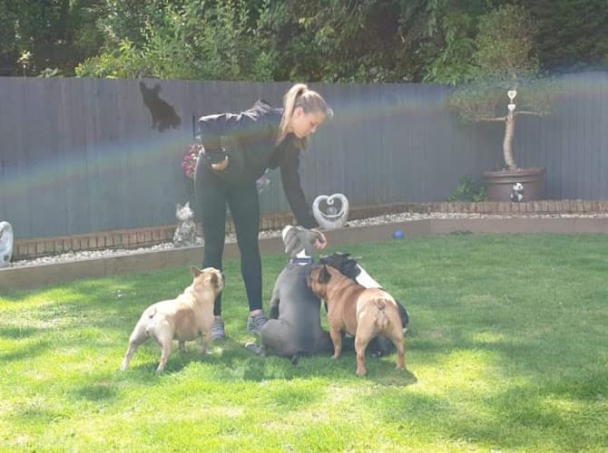 Business listing image