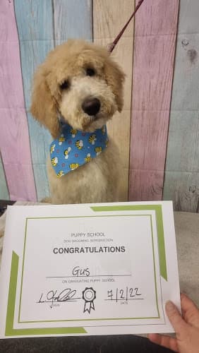 Business listing image