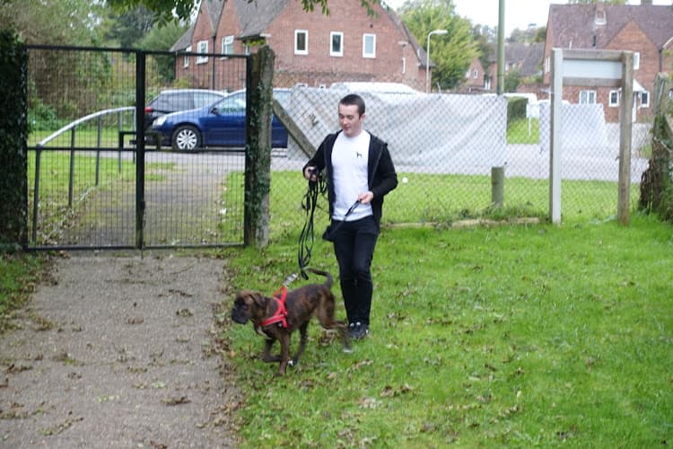 Business listing image