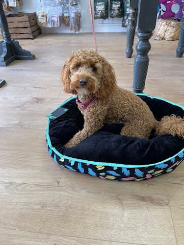 Business listing image